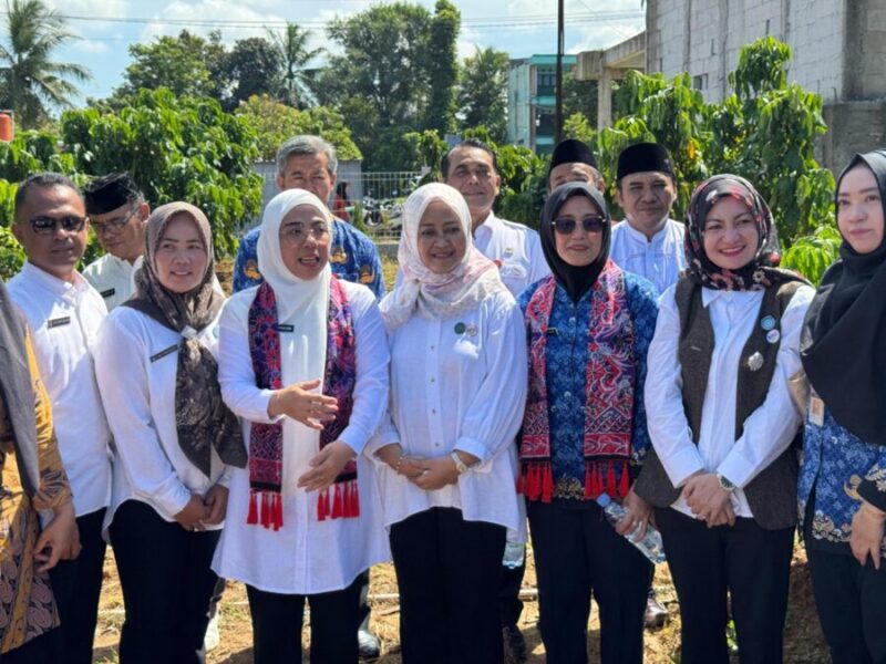 Tinawati Andra Soni meninjau Pelayanan Enam Standar Pelayanan Minimal (SPM) Posyandu Gurame Kampung Sukamulya RT 03 /RW 02 Desa Caringin