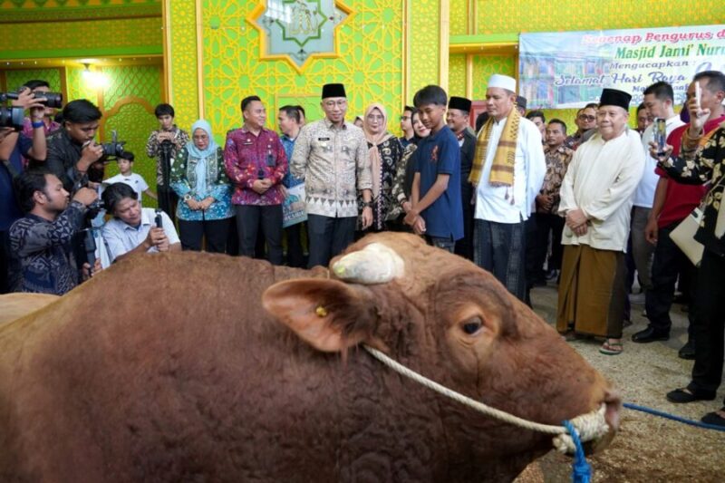 Gubernur Lampung Serahkan Bantuan Sapi Qurban dari Presiden RI