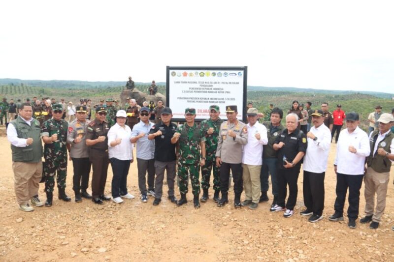 kegiatan penertiban di kawasan Hutan Konservasi Taman Nasional Tesso Nilo (TNTN)