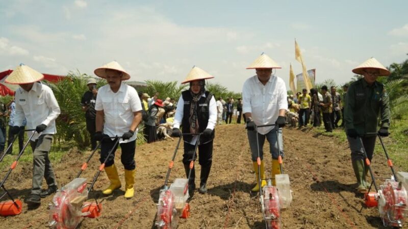 Region Head PTPN IV Regional VII, Denny Ramadhan, beserta Wakil Bupati Muara Enim, Kepala Dinas Pertanian Tanaman Pangan dan Hortikultura Provinsi Sumatera Selatan, dan Ketua Koperasi Bina Sejahtera melaksanakan panen perdana padi gogo menggunakan Seed Planters.