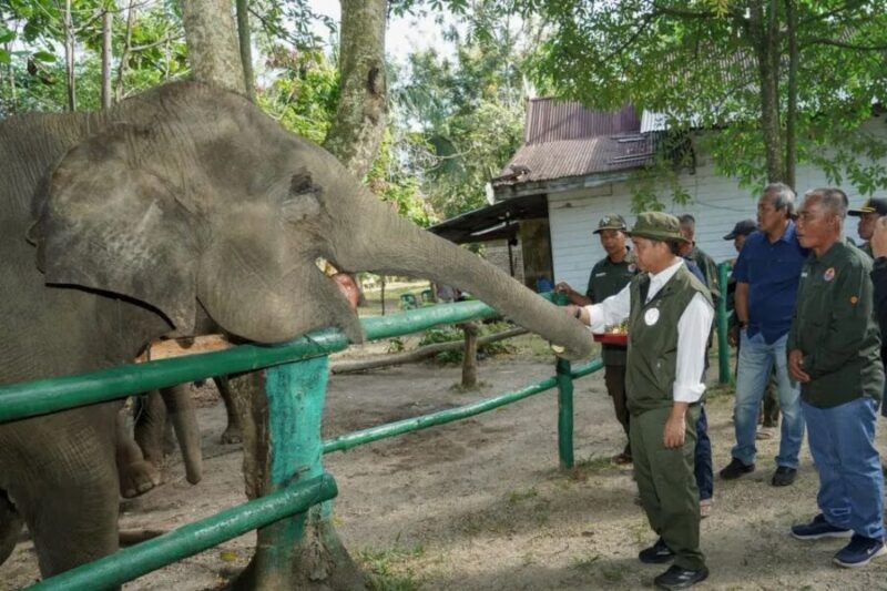 Menteri Kehutanan Raja Juli Antoni, keseimbangan antara kepentingan ekonomi dan ekologi sekarang lebih condong ke ekonomi sehingga perlu ditarik ke tengah. (Antara Foto)