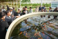 Para kepala desa dari Indonesia sedang menyaksikan dari dekat kolam ikan dalam sistem peternakan modern di Shandong, China. (Xinhua)