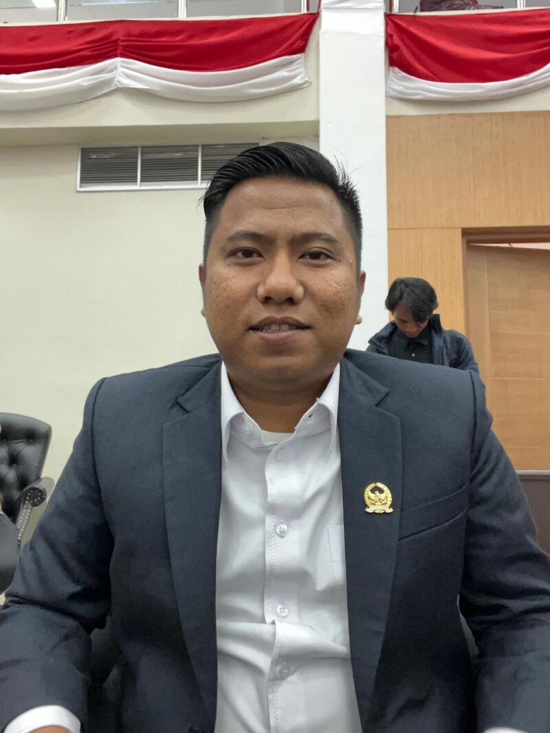 Anggota DPRD Binjai Fraksi Gerindra, Ronggur. (Istimewa) 