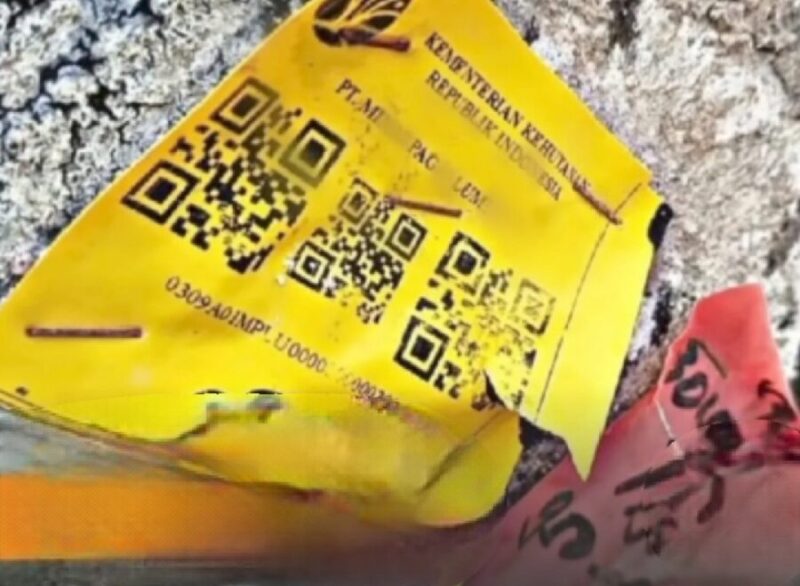 Stiker kuning yang ditemukan pada batang kayu gelondongan. (Tangkapan layar video)