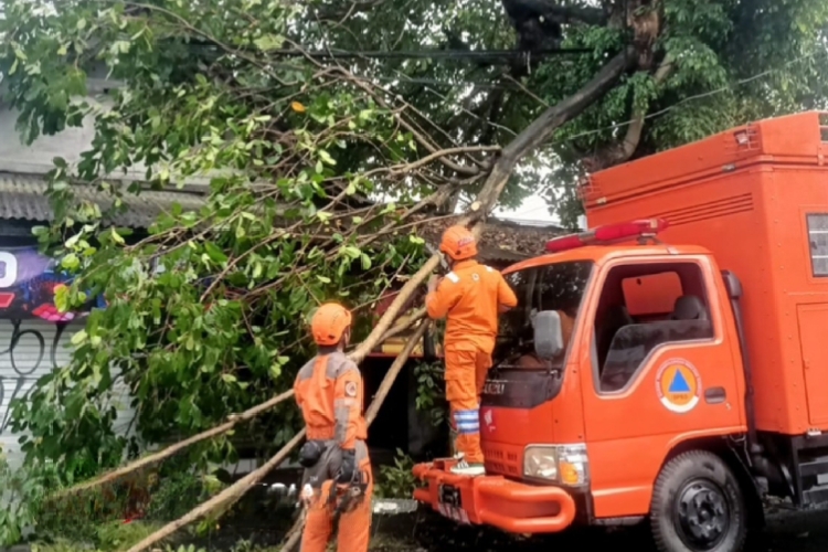 Pemkot Yogyakarta pertahankan status siaga darurat bencana karena masih terjadi hujan lebat dan angin kencang. (BPBD Jogja)