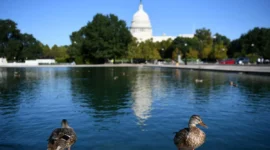 Gedung Putih (Getty Images)