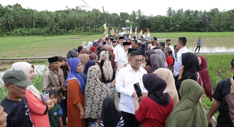 foto slider headline