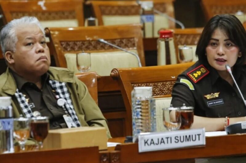 Kepala Kejaksaan Tinggi Sumatera Utara Harli Siregar dan Kepala Kejaksaan Negeri Karo Danke Rajagukguk saat penyampaian pendapat pada Rapat Dengar Pendapat Umum dengan Komisi III DPR RI di kompleks parlemen Senayan, Jakarta, Kamis (2/4/2026). (Jennus)