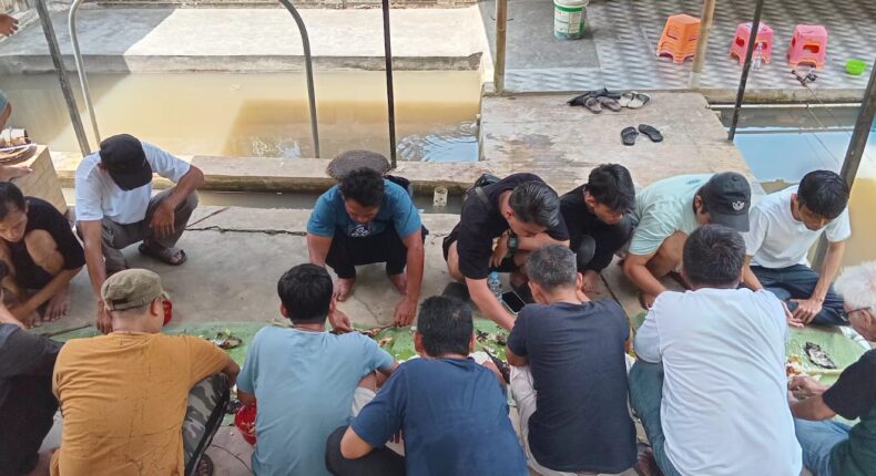 foto slider headline