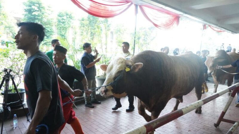 Penyembelihan hewan kurban di kawasan Masjid Istiqlal, Kamis (28/5/2026). (Humas Kemenag)