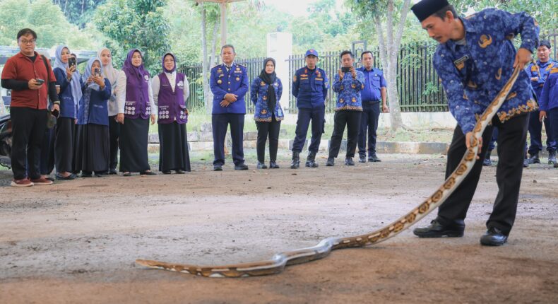 foto slider headline