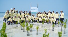 Dokumentasi PT Pertamina Hulu Indonesia (PHI) terhadap pelestarian lingkungan melalui aksi rehabilitasi ekosistem pesisir