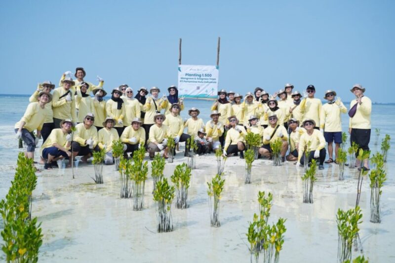 Dokumentasi PT Pertamina Hulu Indonesia (PHI) terhadap pelestarian lingkungan melalui aksi rehabilitasi ekosistem pesisir