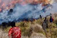 Kebakaran di kawasan Taman Nasional Bromo Tengger Semeru (TNBTS), Jawa Timur, hingga Minggu (9/8/2026) malam, luas lahan yang terbakar mencapai 520 hektar. (Jennus/instagram)