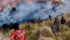 Kebakaran di kawasan Taman Nasional Bromo Tengger Semeru (TNBTS), Jawa Timur, hingga Minggu (9/8/2026) malam, luas lahan yang terbakar mencapai 520 hektar. (Jennus/instagram)