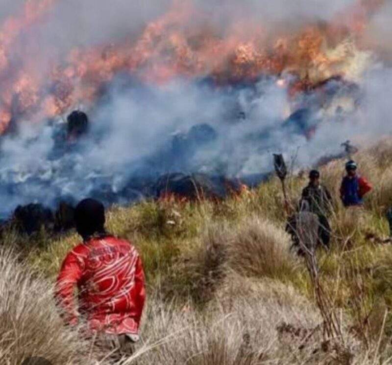 Kebakaran di kawasan Taman Nasional Bromo Tengger Semeru (TNBTS), Jawa Timur, hingga Minggu (9/8/2026) malam, luas lahan yang terbakar mencapai 520 hektar. (Jennus/instagram)