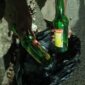 Seorang pemulung menunjukkan sejumlah botol yang ditemukan di dalam kawasan Stadion Maulana Yusuf, Kota Serang, usai pelaksanaan BOOMFEST Serang 2026, Sabtu (26/9/2026). Sejumlah botol kaca tampak menjadi bagian dari hasil memulung setelah kegiatan berlangsung.