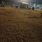 Kondisi Rumput Stadion setelah acara konser